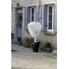 Protection hivernale efficace pour vos plantes avec WINTERTEX  Isolation thermique durable