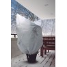 Protégez vos plantes du froid avec HIVERSCRATCH  dans le magasin Nortene
