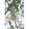 Housses à fruit FRUITSAC 17 x 22 cm Nortene - Boutique en ligne Nortene