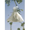 Housses à fruit FRUITSAC 20 x 30 cm Nortene - Boutique en ligne Nortene