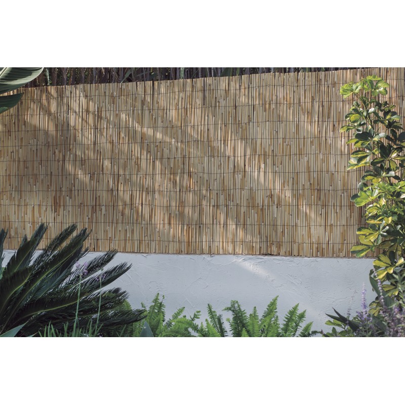 Canisse de roseau REEDCANE PLUS 1 x 5 m Beige Nortene