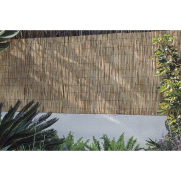 Canisse de roseau REEDCANE PLUS 1,5 x 5 m Beige dans le magasin Nortene