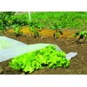 Voile de croissance CLIMATEX 2 x 5 m Nortene - Boutique en ligne Nortene