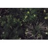 Jardin vertical synthétique VERTICAL GRAZING 100 x 100 cm dans le magasin Nortene