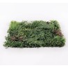 Jardin vertical synthétique SAUVAGE 100 x 100 cm dans le magasin Nortene