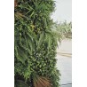 Jardin vertical synthétique SAUVAGE 100 x 100 cm dans le magasin Nortene
