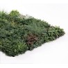 Jardin vertical synthétique SAUVAGE 100 x 100 cm dans le magasin Nortene