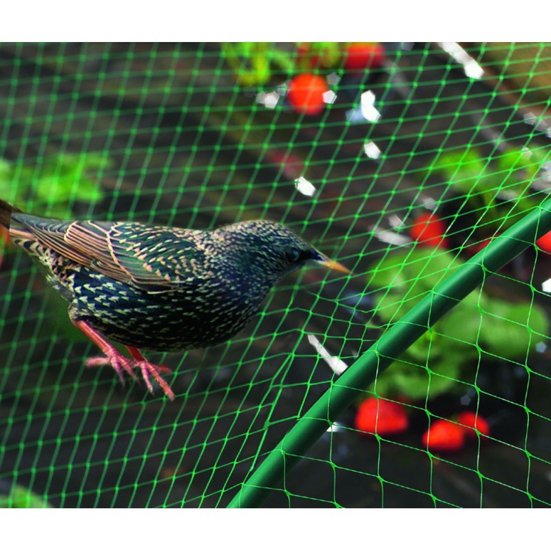 Filet de protection anti-oiseaux 2 x 5 m vert BIRDNET Nortene - Boutique en ligne Nortene