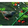 Filet de protection anti-oiseaux 2 x 5 m vert BIRDNET Nortene - Boutique en ligne Nortene