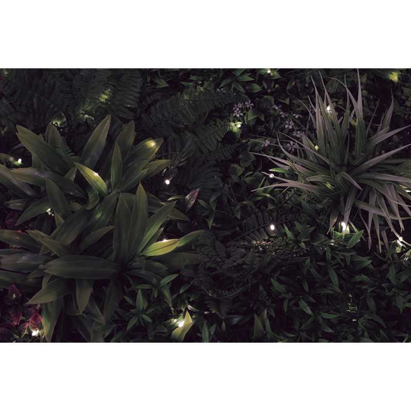 Jardin vertical synthétique SAUVAGE led 100 x 100 cm dans le magasin Nortene