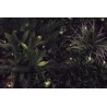 Jardin vertical synthétique SAUVAGE led 100 x 100 cm dans le magasin Nortene