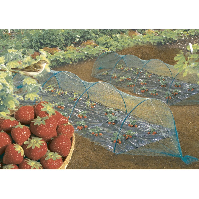 Filet de protection anti-oiseaux 2 x 5 m vert BIRDNET Nortene - Boutique en ligne Nortene