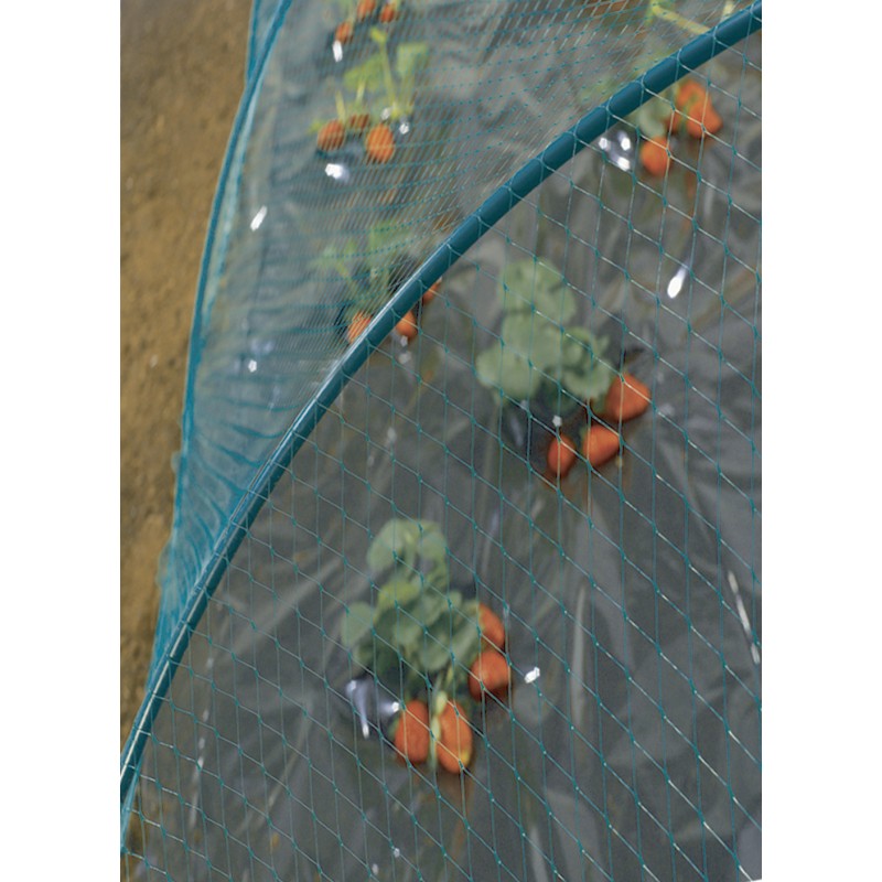 Filet de protection anti-oiseaux 2 x 5 m vert BIRDNET Nortene - Boutique en ligne Nortene