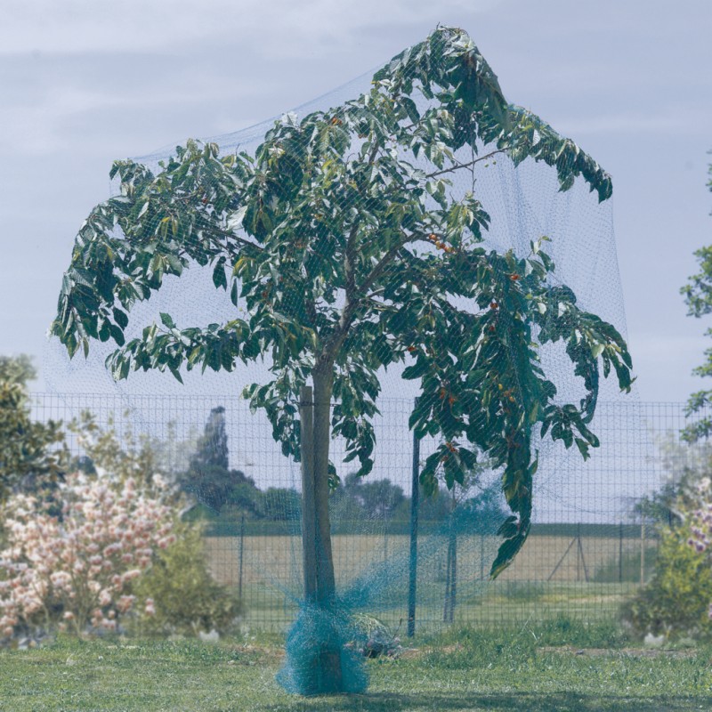 Filet de protection anti-oiseaux 2 x 5 m vert BIRDNET Nortene - Boutique en ligne Nortene