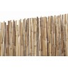 Canisse bambou entier BAMBOO EXCEL 2 x 5 m Naturel Nortene