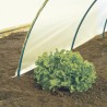 Film de forçage maraîcher CLIMAPRO 3 x 10 m Jaune Nortene
