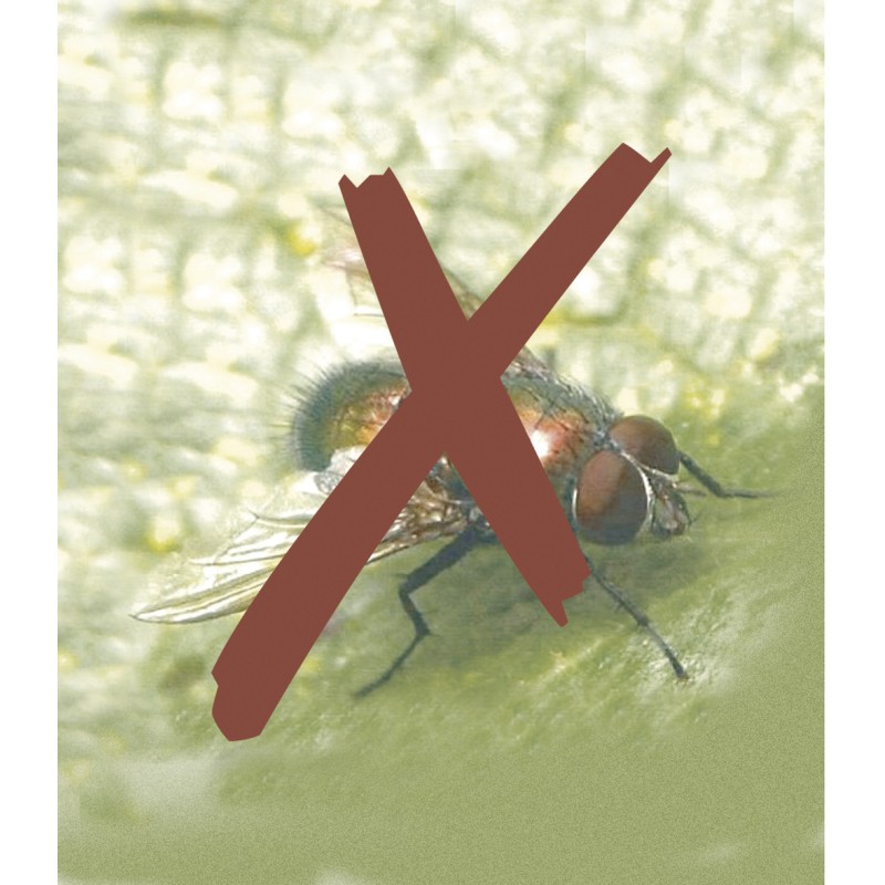 Filet anti-insectes BIOCONTROL 2,20 x 10 m Blanc Nortene