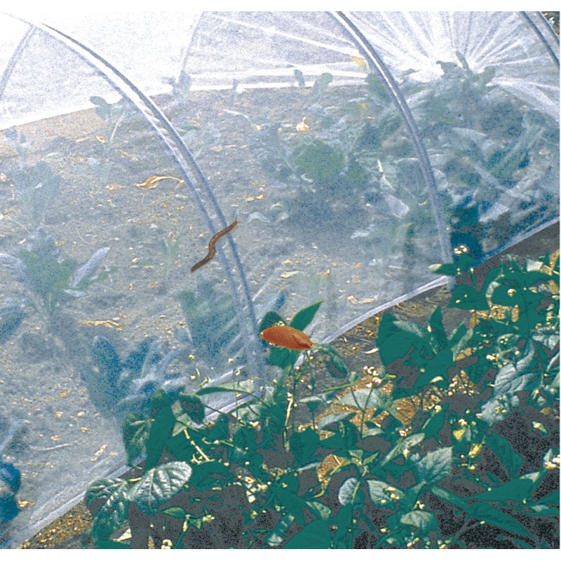 Filet anti-insectes BIOCONTROL 2,20 x 10 m Blanc Nortene