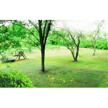 Filet de ramassage CAPTANET 4 x 6 m Noir Nortene
