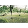 Filet de ramassage CAPTANET 4 x 6 m Noir Nortene