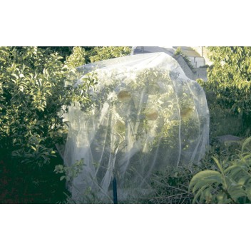 Filet de protection PROTECT FRUIT 5,3 x 5 m Blanc Nortene