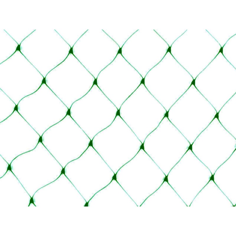 Filet de protection oiseaux BIRDNET 2 x 10 m vert – Anti-UV, durable, idéal jardin et culture  Nortene