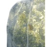 Filet de protection PROTECT FRUIT 5,3 x 5 m Blanc Nortene