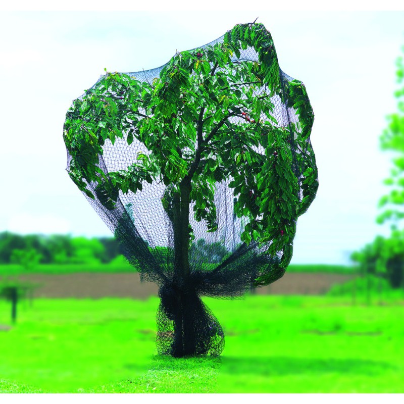 Filet de protection renforcé 5 x 6 m Vert Nortene