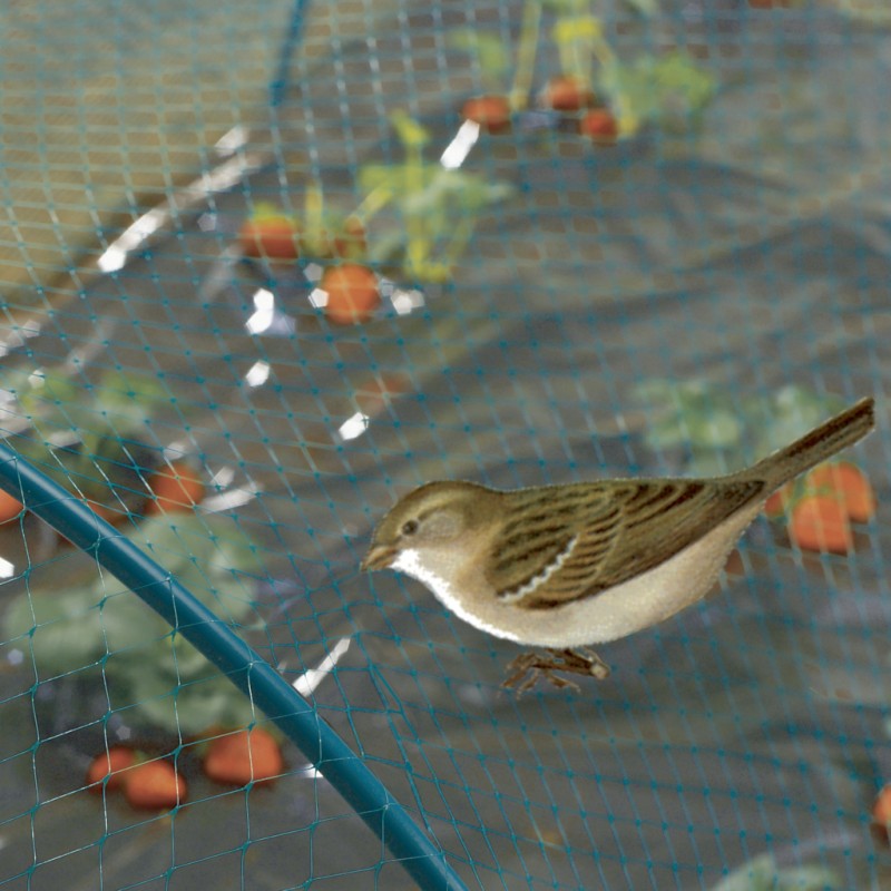 Filet de bassin 2 m x 10 m Vert filet d'étang à poisson, filet à feuilles,  filet, filet de protection contre les oiseaux, robuste