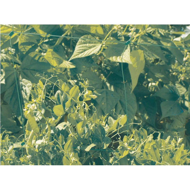 Filet à ramer 1 x 5 m TRELLINET Nortene - Boutique en ligne Nortene