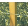 Filet à ramer 1 x 5 m TRELLINET Nortene - Boutique en ligne Nortene