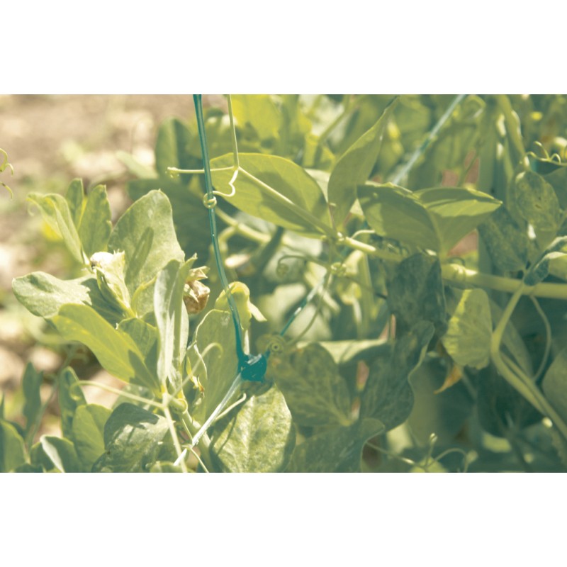 Filet à ramer 1 x 5 m TRELLINET Nortene - Boutique en ligne Nortene