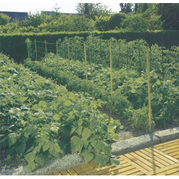 Filet à ramer 2 x 10 m TRELLINET Nortene - Boutique en ligne Nortene