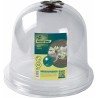 Cloche de forçage avec aération BELL 250 cm Nortene