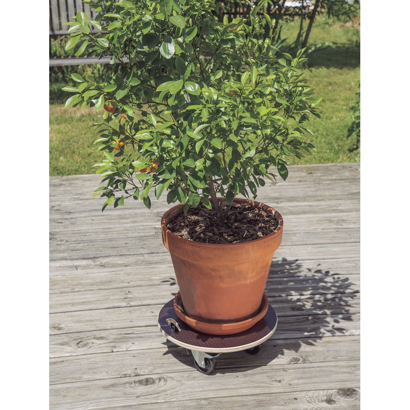 Support à roulettes FLORA ROLL STRONG Ø50cm Marron Nortene
