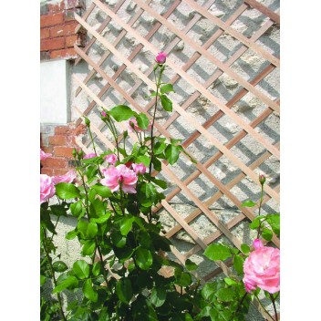 Treillis en bois extensible TRELLIWOOD 1 x 3 m Marron Nortene