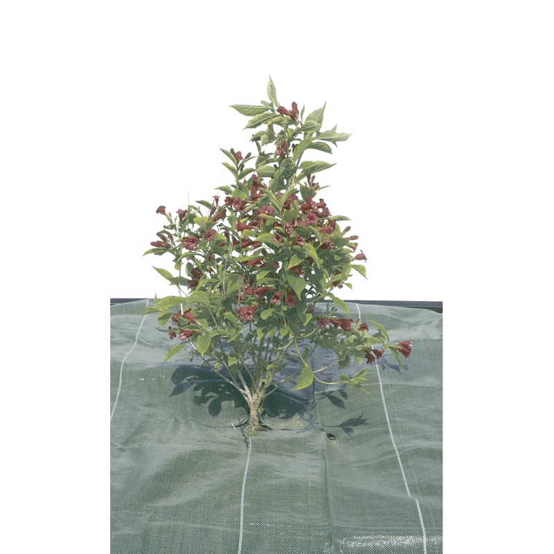 Toile de paillage tissée 120g AGROSOL 2,1 x 20 m Gris Nortene