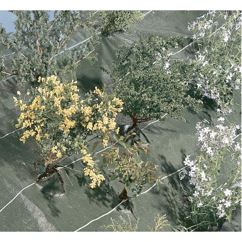 Toile de paillage tissée 120g AGROSOL 2,1 x 20 m Gris Nortene