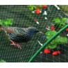 Filet de protection BIRDNET 5 x 10 m Vert Nortene