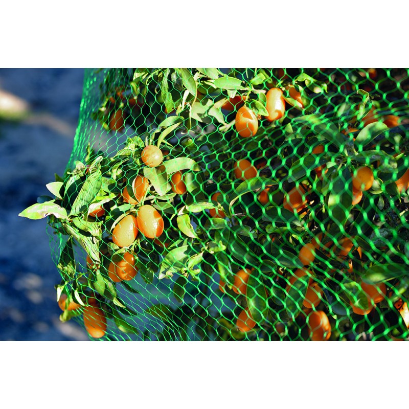 Filet de protection BIRDNET 5 x 10 m Vert Nortene