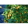 Filet de protection BIRDNET 5 x 10 m Vert Nortene