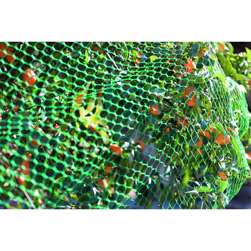 Filet de protection BIRDNET 5 x 10 m Vert Nortene