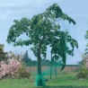 Filet de protection BIRDNET 5 x 10 m Vert Nortene