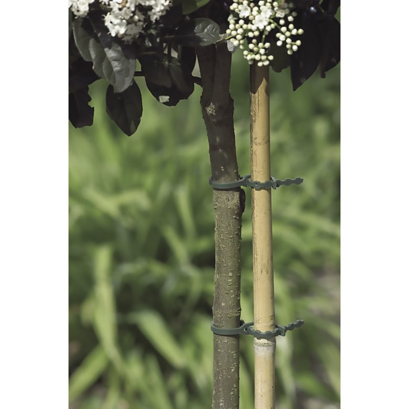 Liens plastique FIX 17cm Vert Nortene (40 u)
