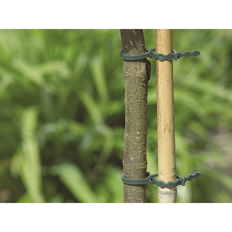 Liens plastique FIX 17cm Vert Nortene (40 u)