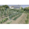 Arceaux en fibre ARC 6mm x 2,5 m Vert Nortene