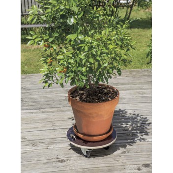 Support à roulettes FLORA ROLL STRONG Ø40cm Marron Nortene