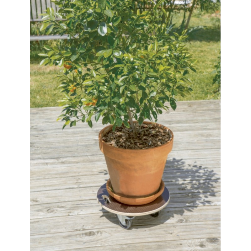 Support à roulettes FLORA ROLL STRONG Ø40cm Marron Nortene