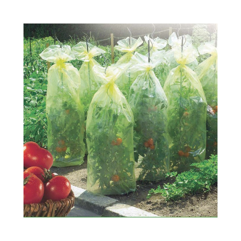 Housse de croissance tomate TOMATOTUBE 0,60 x 10 m Nortene