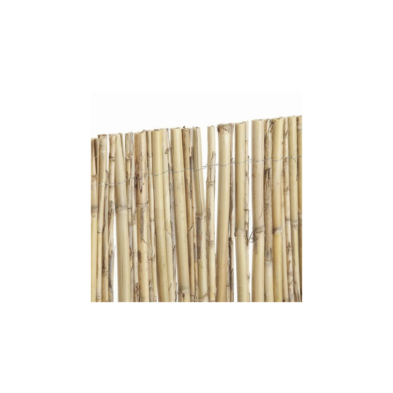 Canisse de roseaux diamètre supérieur EXCELCANE 2 x 5m Naturel Nortene